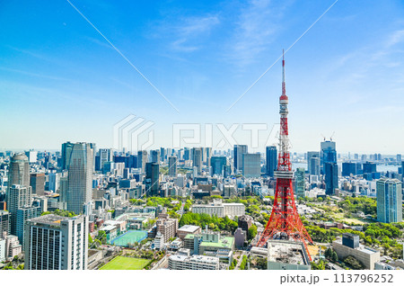 日本の首都東京の都市風景 113796252