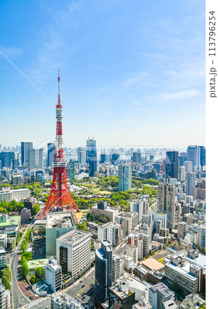 日本の首都東京の都市風景 113796254