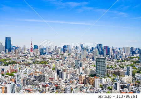 日本の首都東京の都市風景 日本の首都東京の都市風景 113796261