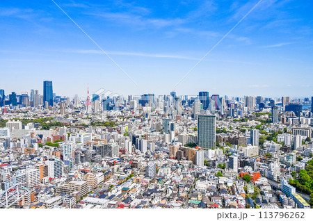 日本の首都東京の都市風景 日本の首都東京の都市風景 113796262