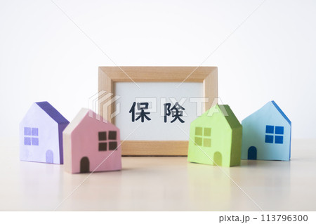 カラフルな家と保険のフレーム 113796300