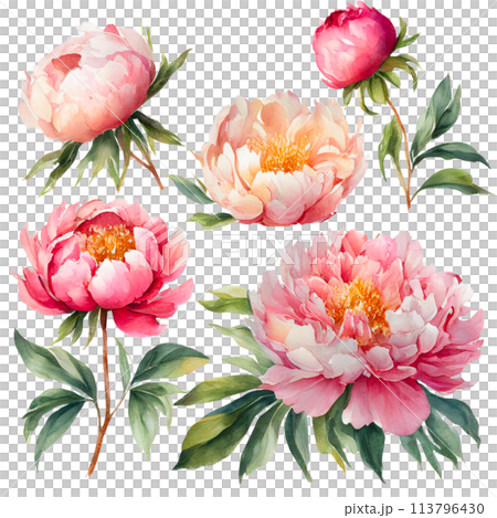 Watercolor touch button illustration 113796430