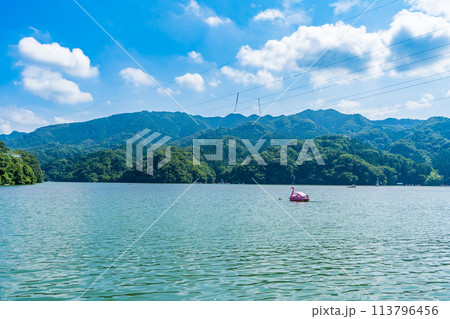 真夏の神奈川の相模湖公園の風景 真夏の神奈川の相模湖公園の風景 113796456