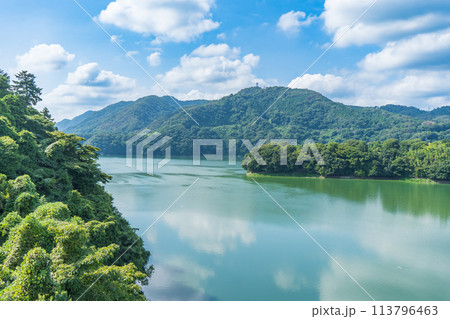 真夏の神奈川の相模湖公園の風景 113796463
