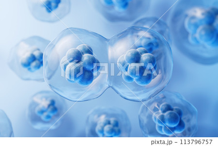Mitosis of cells with biotechnology concept, 3d rendering. 113796757