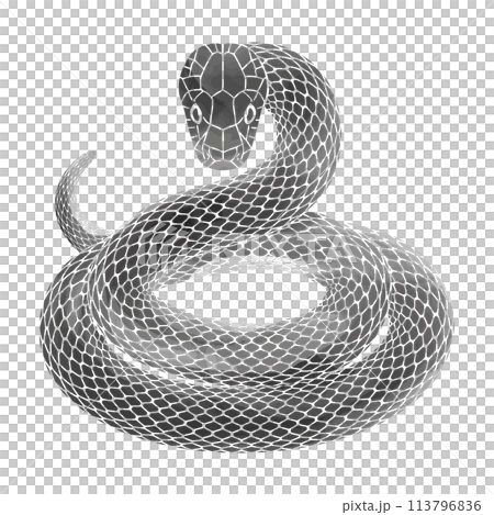 蛇の水墨画 ヘビ：「水墨画ヘビ」から 16 のアイデアを見つけましょう