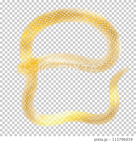 Illustration of a golden snake for the Year of the Snake, suitable for New Year's cards 113796839