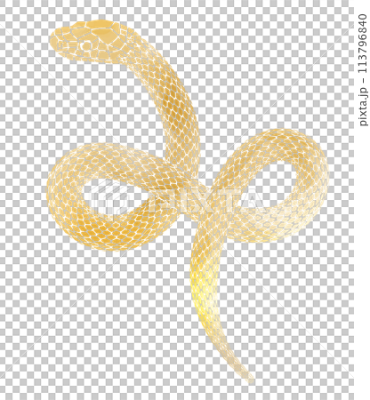 Illustration of a golden snake for the Year of the Snake, suitable for New Year's cards 113796840