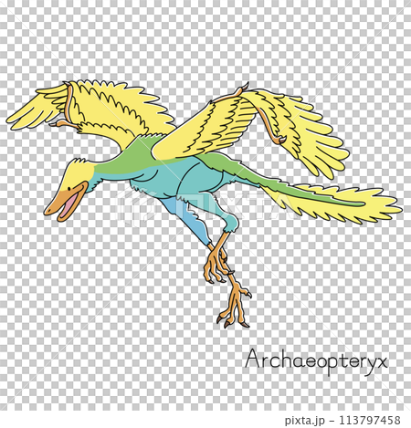 Happy Archaeopteryx Archaeopteryx (color) 113797458