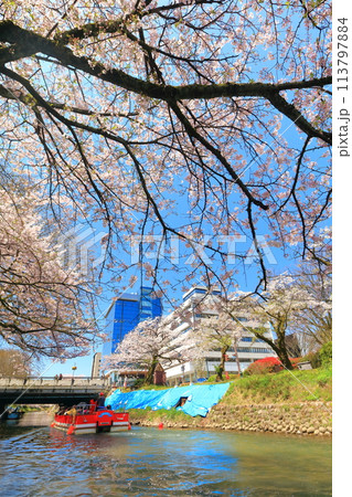 【富山県】松川べりと松川遊覧船と満開の桜 【富山県】松川べりと松川遊覧船と満開の桜 113797884