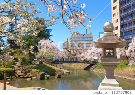 【富山県】松川べりと松川遊覧船と満開の桜 【富山県】松川べりと松川遊覧船と満開の桜 113797908
