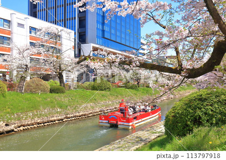 【富山県】松川べりと松川遊覧船と満開の桜 【富山県】松川べりと松川遊覧船と満開の桜 113797918