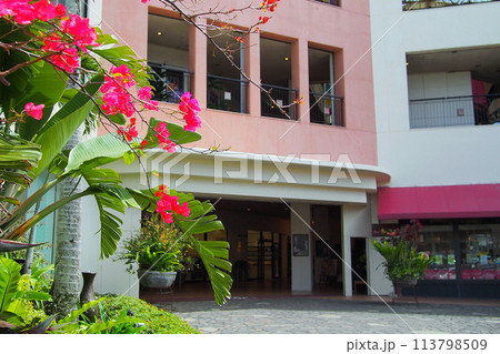 沖縄 コザのショッピングセンター 沖縄 コザのショッピングセンター 113798509