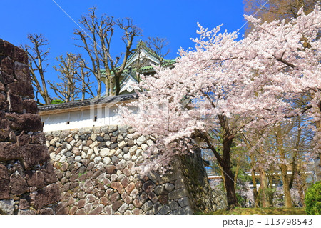 【富山県】快晴の富山市佐藤記念美術館と満開の桜 113798543
