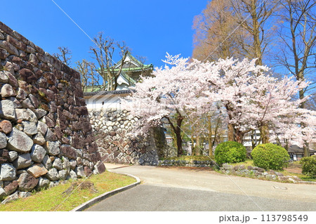 【富山県】快晴の富山市佐藤記念美術館と満開の桜 113798549