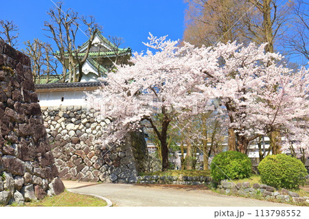 【富山県】快晴の富山市佐藤記念美術館と満開の桜 113798552