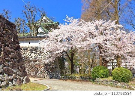 【富山県】快晴の富山市佐藤記念美術館と満開の桜 113798554