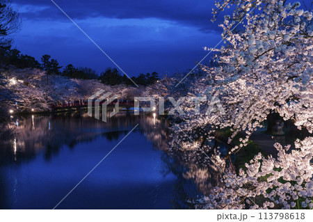 弘前城の満開の桜と西濠ライトアップと人だかりの春陽橋 弘前城の満開の桜と西濠ライトアップと人だかりの春陽橋 113798618