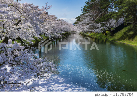 満開の弘前城外濠の桜と花筏 113798704