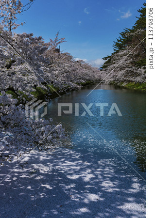満開の弘前城外濠の桜と花筏 113798706