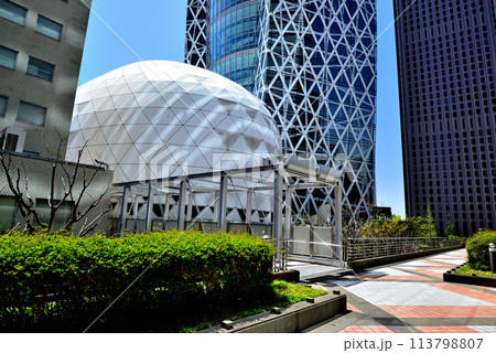 東京 新宿副都心 ビル群の風景 東京 新宿副都心 ビル群の風景 113798807