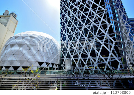 東京 新宿副都心 ビル群の風景 東京 新宿副都心 ビル群の風景 113798809