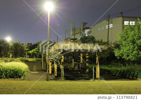 夜の公園 夜の公園 113798821