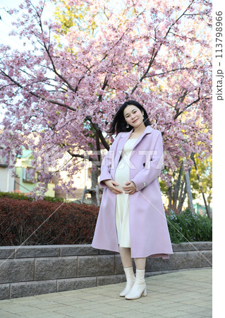 春のマタニティフォト　妊婦　桜 113798966