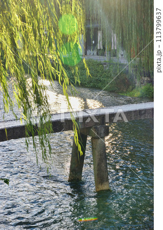 京都　白川　一本橋と柳（京都市東山区） 113799637
