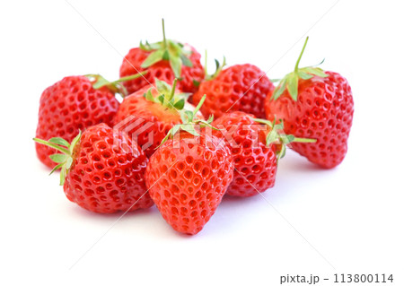 いちご（越後姫） 113800114