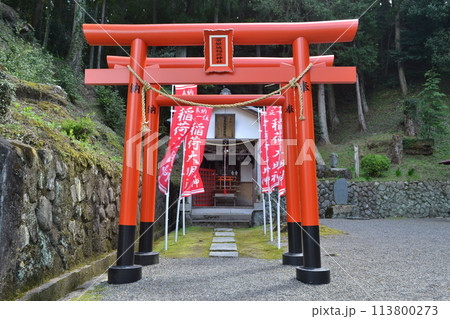 温泉神社の稲荷神社 113800273