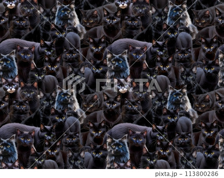 ネコのシームレスパターン④ A-2’ （黒背景） 113800286