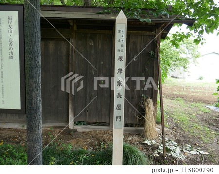 根岸家長屋門　　　（埼玉県熊谷市） 113800290