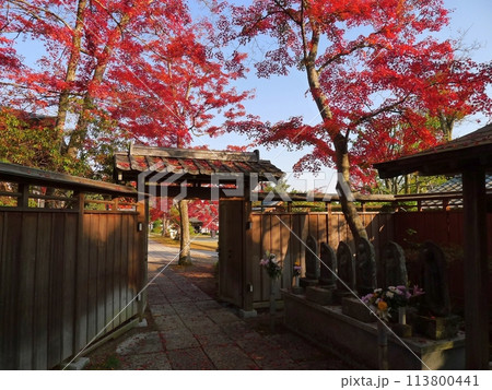 能仁寺の紅葉 (埼玉県飯能市) 能仁寺の紅葉 (埼玉県飯能市) 113800441