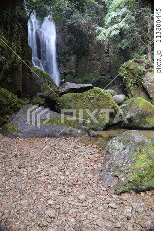 日本の滝100選「桑ノ木の滝」 113800445