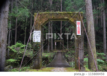 日本の滝100選「桑ノ木の滝」遊歩道途中にある吊橋 113800450