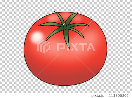 大きい赤いトマトのイラスト 113800802