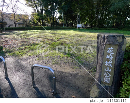 花崎遺跡　　　（埼玉県加須市） 113801115