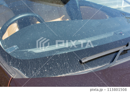 黄砂によって汚れた車 113801508