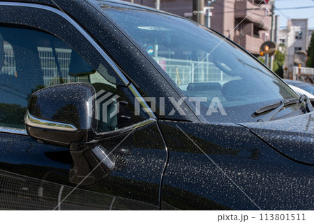 黄砂によって汚れた車 黄砂によって汚れた車 113801511