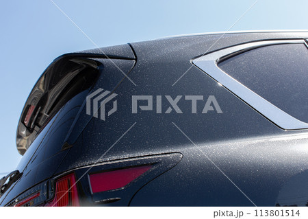 黄砂によって汚れた車 黄砂によって汚れた車 113801514