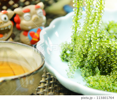 生の海ぶどうとシーサー 113801764