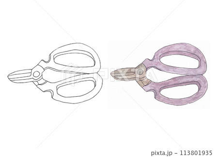 水性ペンと透明水彩絵の具で描いた2つの園芸用花枝切鋏のイラストセット（線画と薄紫色） 113801935