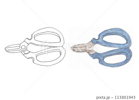 水性ペンと透明水彩絵の具で描いた2つの園芸用花枝切鋏のイラストセット(線画と青色) 水性ペンと透明水彩絵の具で描いた2つの園芸用花枝切鋏のイラストセット(線画と青色) 113801943