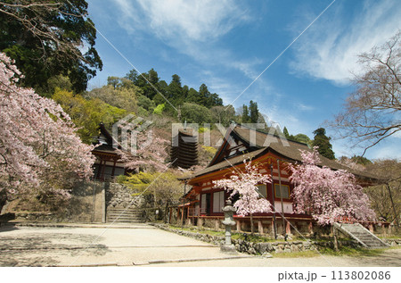 談山神社(神廟拝所・十三重塔)　【奈良県桜井市多武峰】 113802086