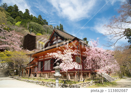 談山神社(神廟拝所・十三重塔)　【奈良県桜井市多武峰】 113802087