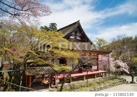 談山神社(神廟拝所)　【奈良県桜井市多武峰】 113802130