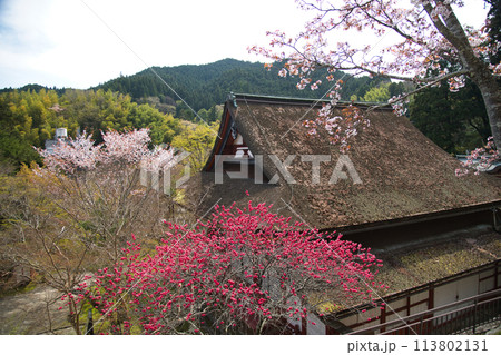 談山神社(神廟拝所)　【奈良県桜井市多武峰】 113802131