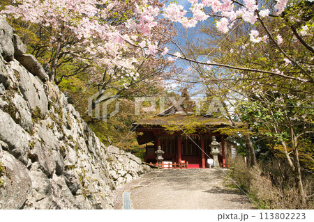 談山神社(東殿)　【奈良県桜井市多武峰】 113802223