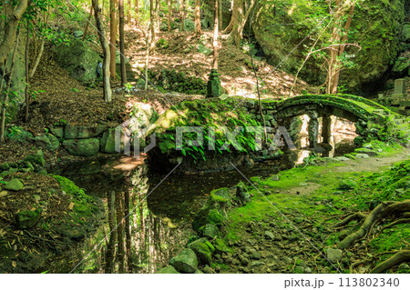 室山熊野神社（八女市星野村） 113802340